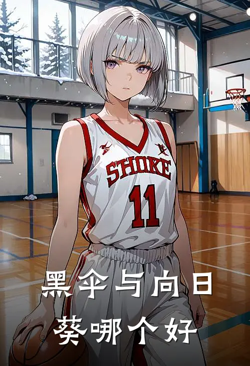 黑伞与向日葵哪个好