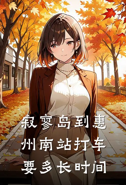 寂寥岛到惠州南站打车要多长时间