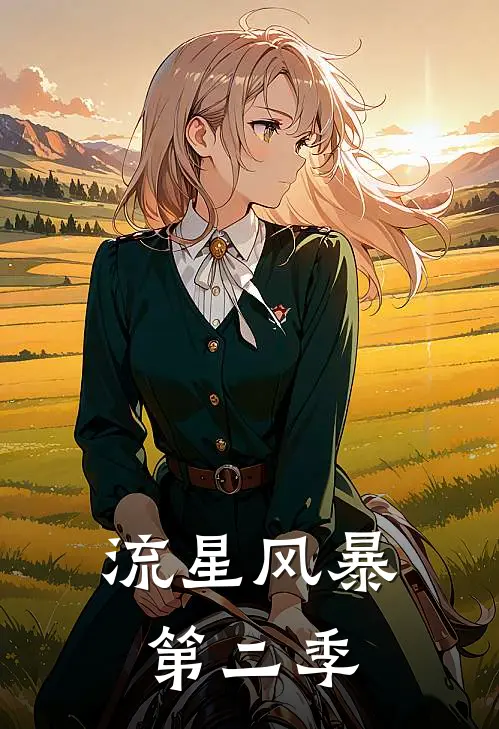 流星风暴第二季